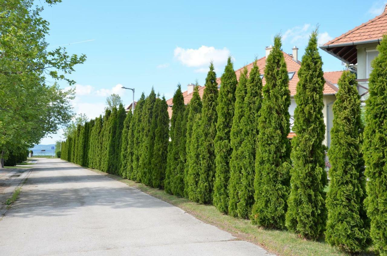 Vadszilva Apartman Balatonoszod Exterior photo